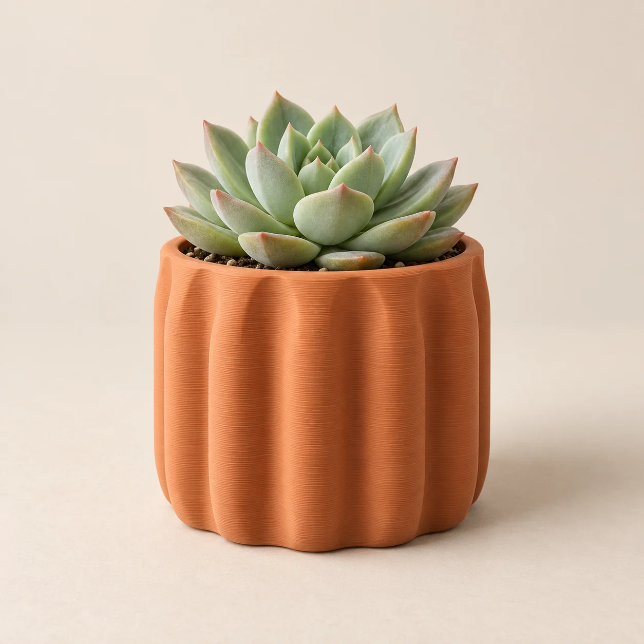 Petal Planter in Terracotta; illustrative product image